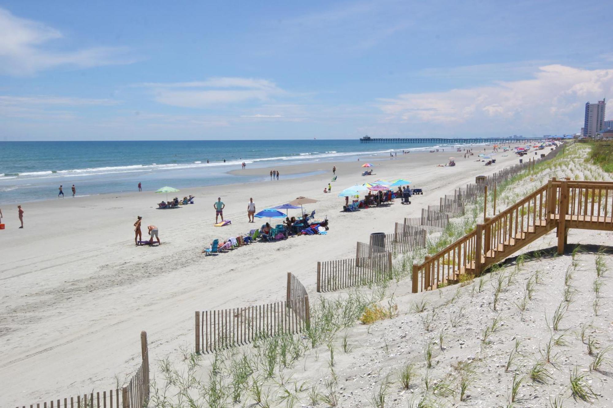 Sea Star In Cherry Grove