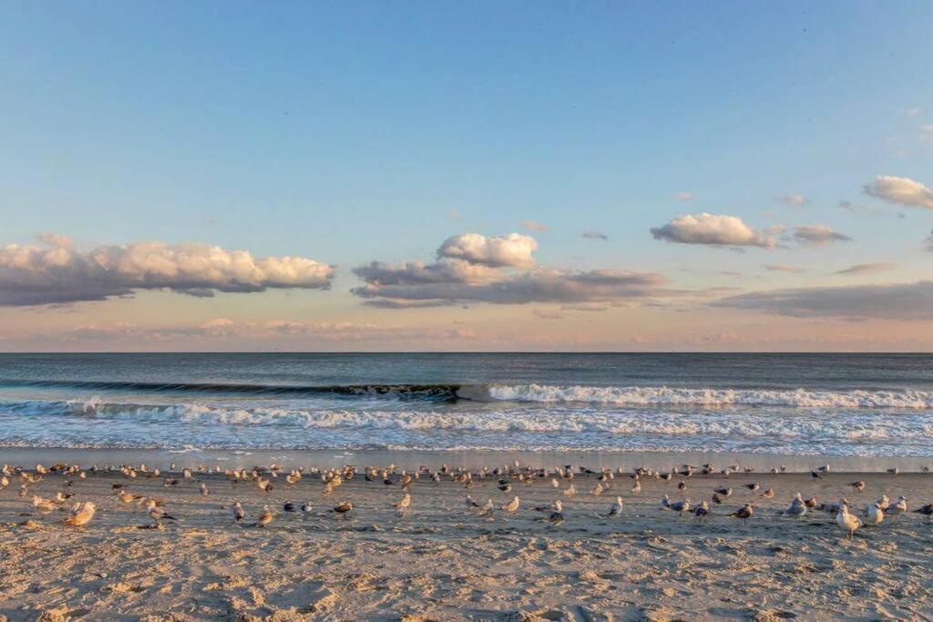 *peaceful Ocean View Beauty*beach*hot Tubs*j100 Apartment *