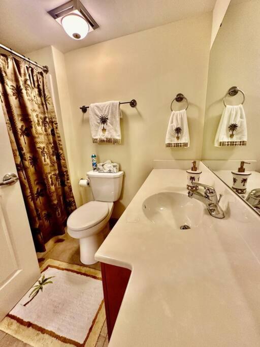 Oceanview Condo, 3b/3b, Floor, Pool, Greatview Apartment