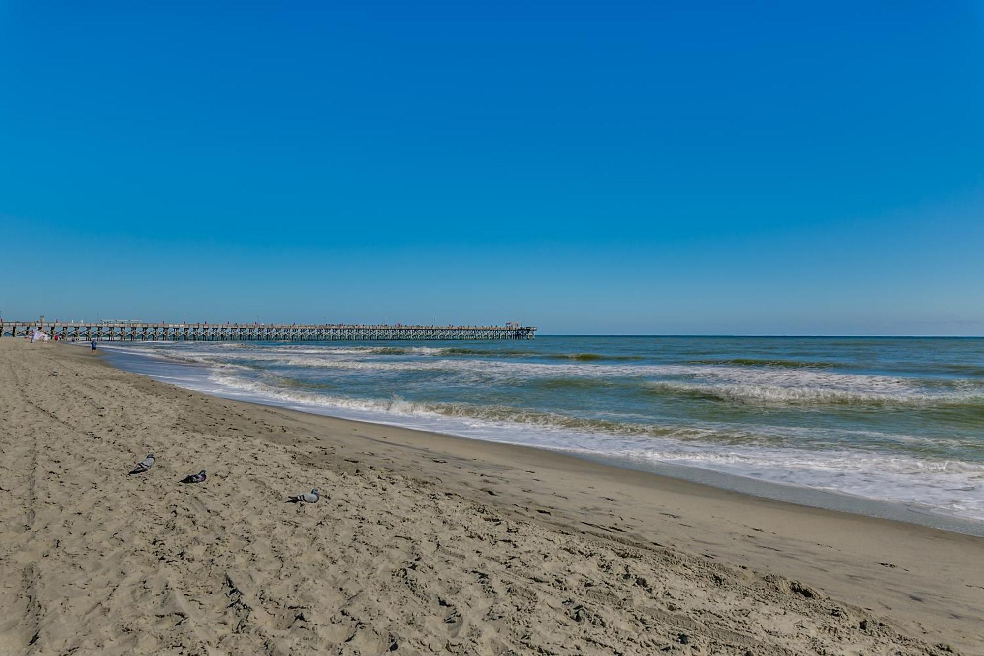 Stunning Oceanfront King On 18th Floor Centrally Located Apartment