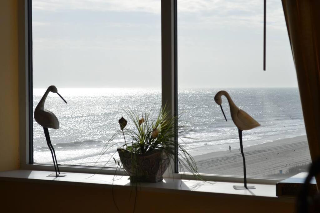 Camelot By The Sea, Unit 601, 3 Bedroom, 2 Bath, Direct Ocean Front, Park On Same Level As * Myrtle Beach