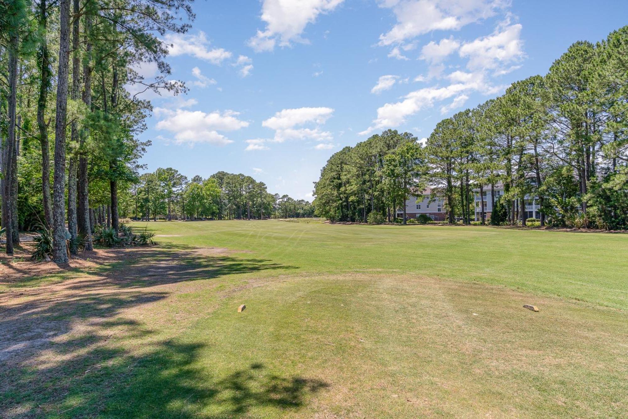Cypress Bend #534 *