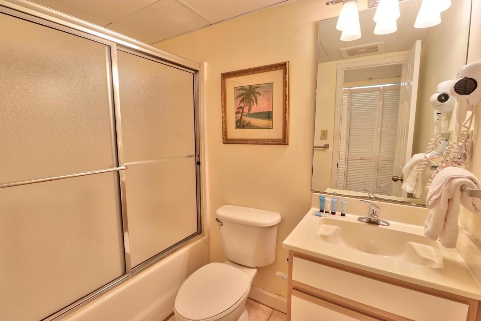 Ocean View Condo, Pool, Beach Access, Wifi Included, Monthly Winter Holiday home *