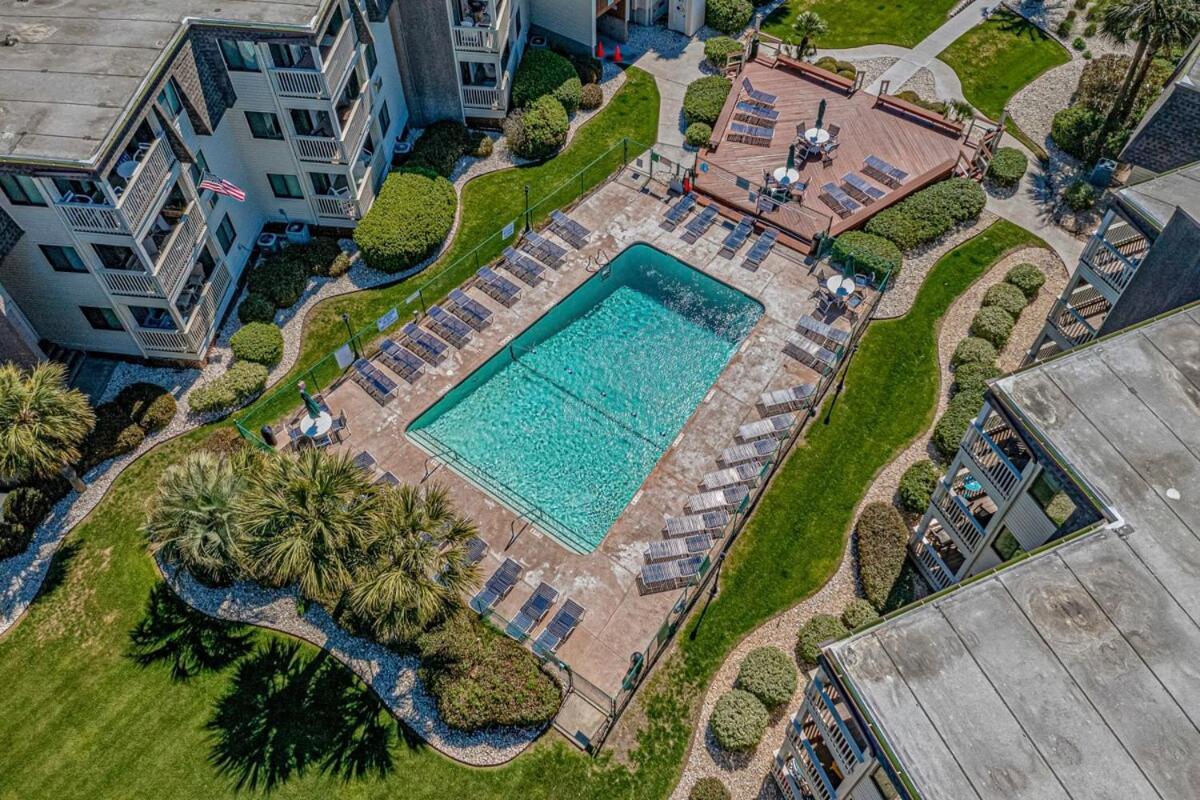 Ocean Forest Cozy Oceanfront Unit D116 *