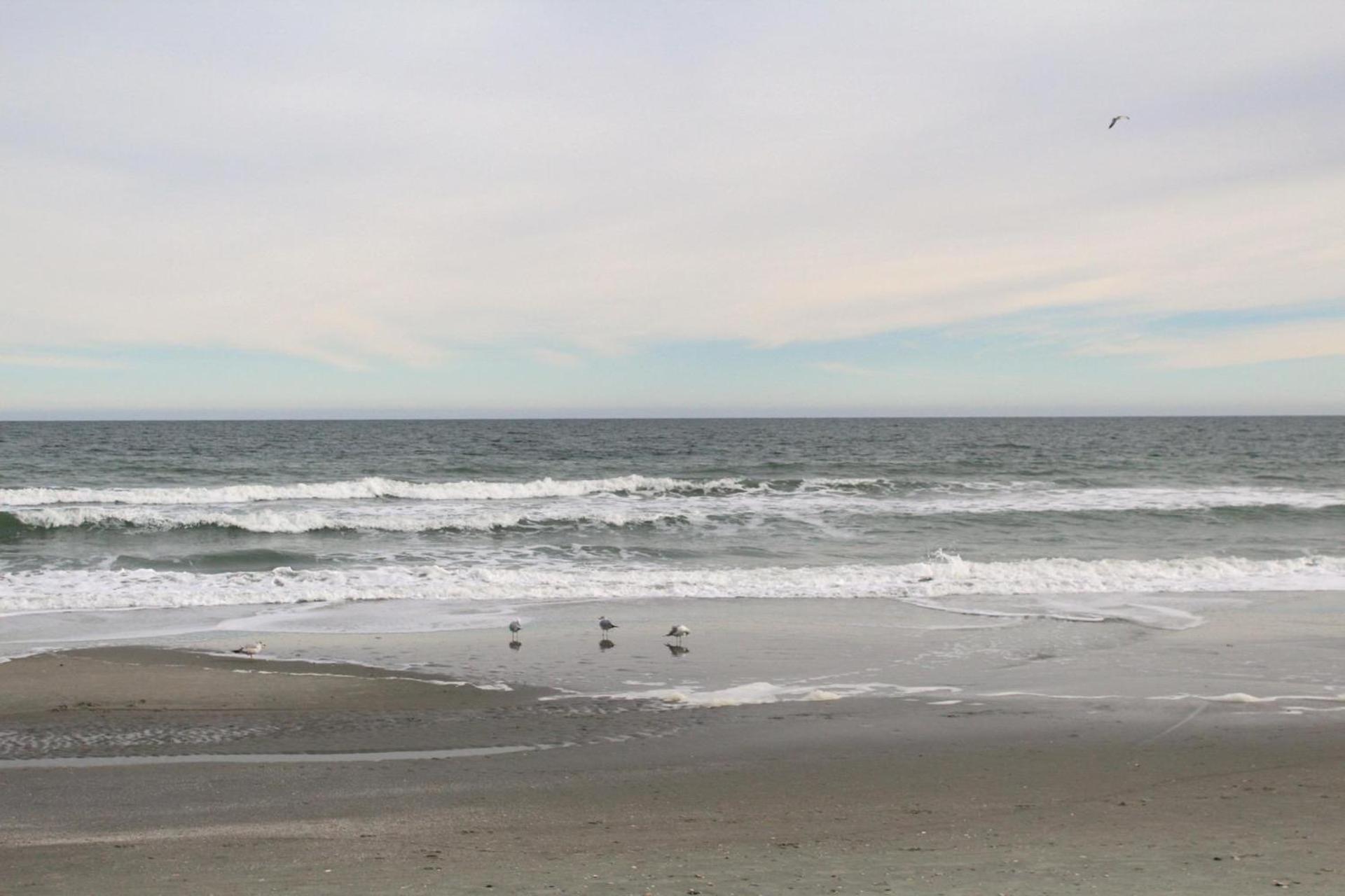 Meant To Be Holiday home Myrtle Beach
