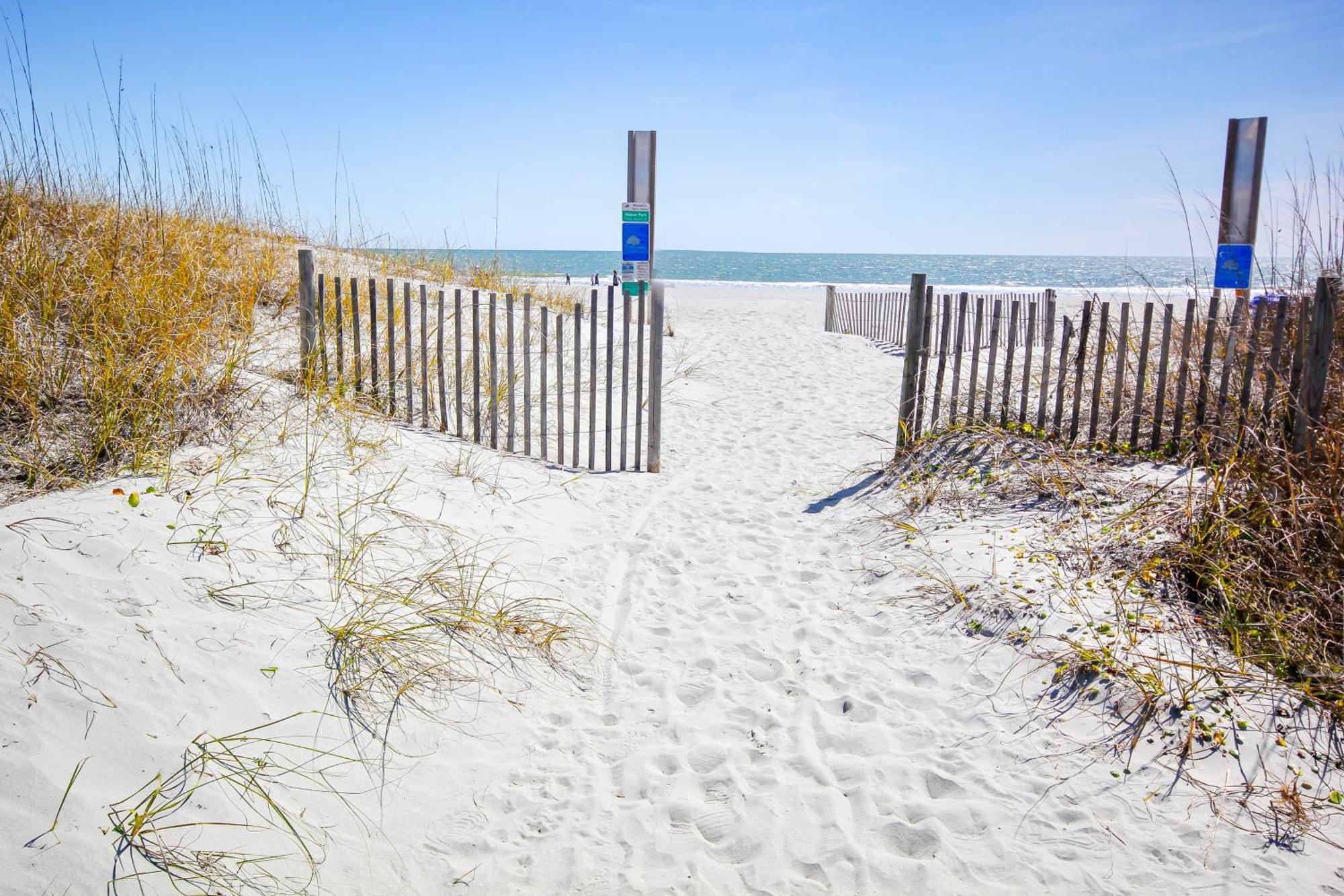 Arcadian Dunes 02-207 *