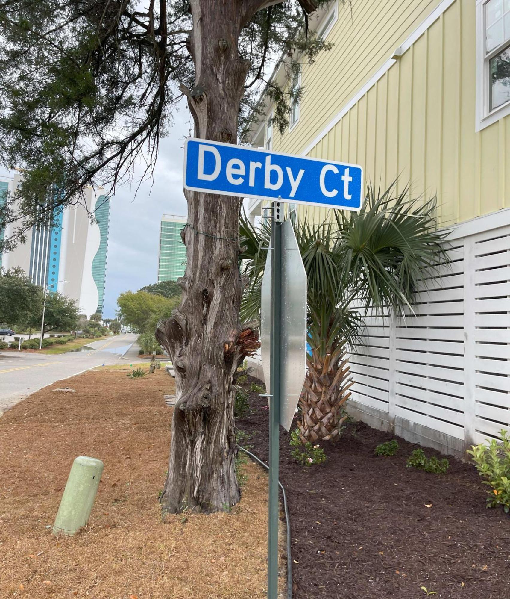 Holiday home Derby Blue A- Ocean Views- Garage & Ev Charger Myrtle Beach
