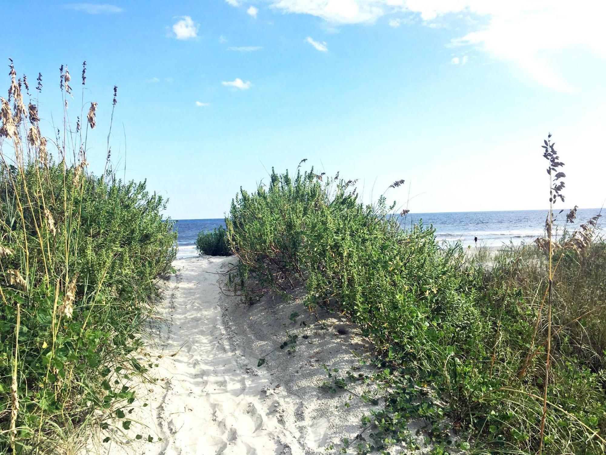 Sc110 Sea 2br/2b With Direct Ocean Views Holiday home *
