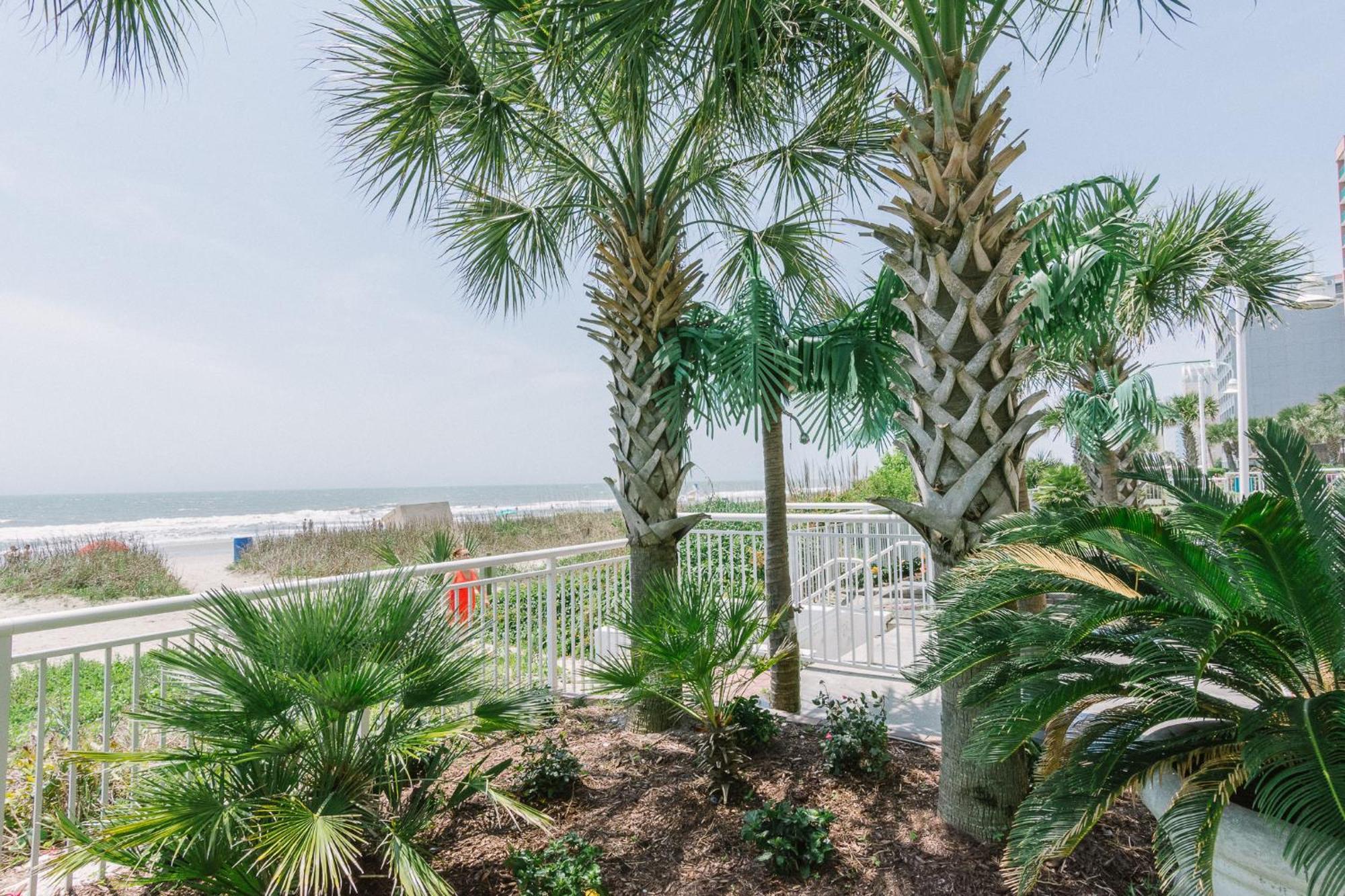 Paradise Resort, Unit 802, 4 Bedroom, 3 Bath, Direct Oceanfront