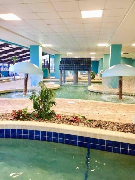 Impeccable Oceanfront Suite, Floor! L1543 Apartment *