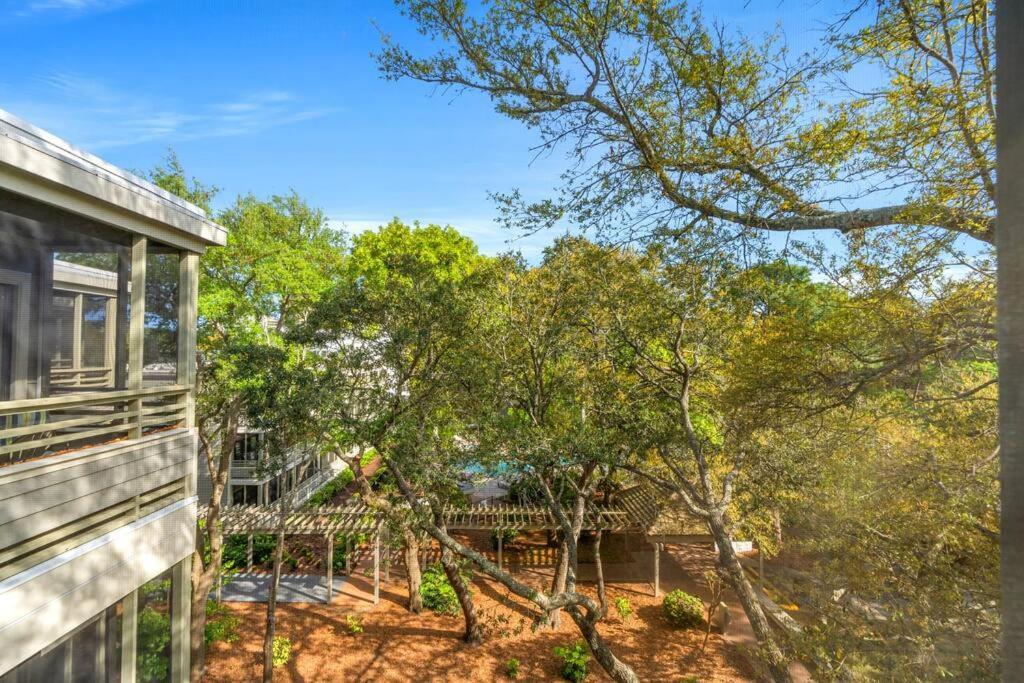 Apartment Off-season Rates! Indoor Pool And Hot Tub Myrtle Beach