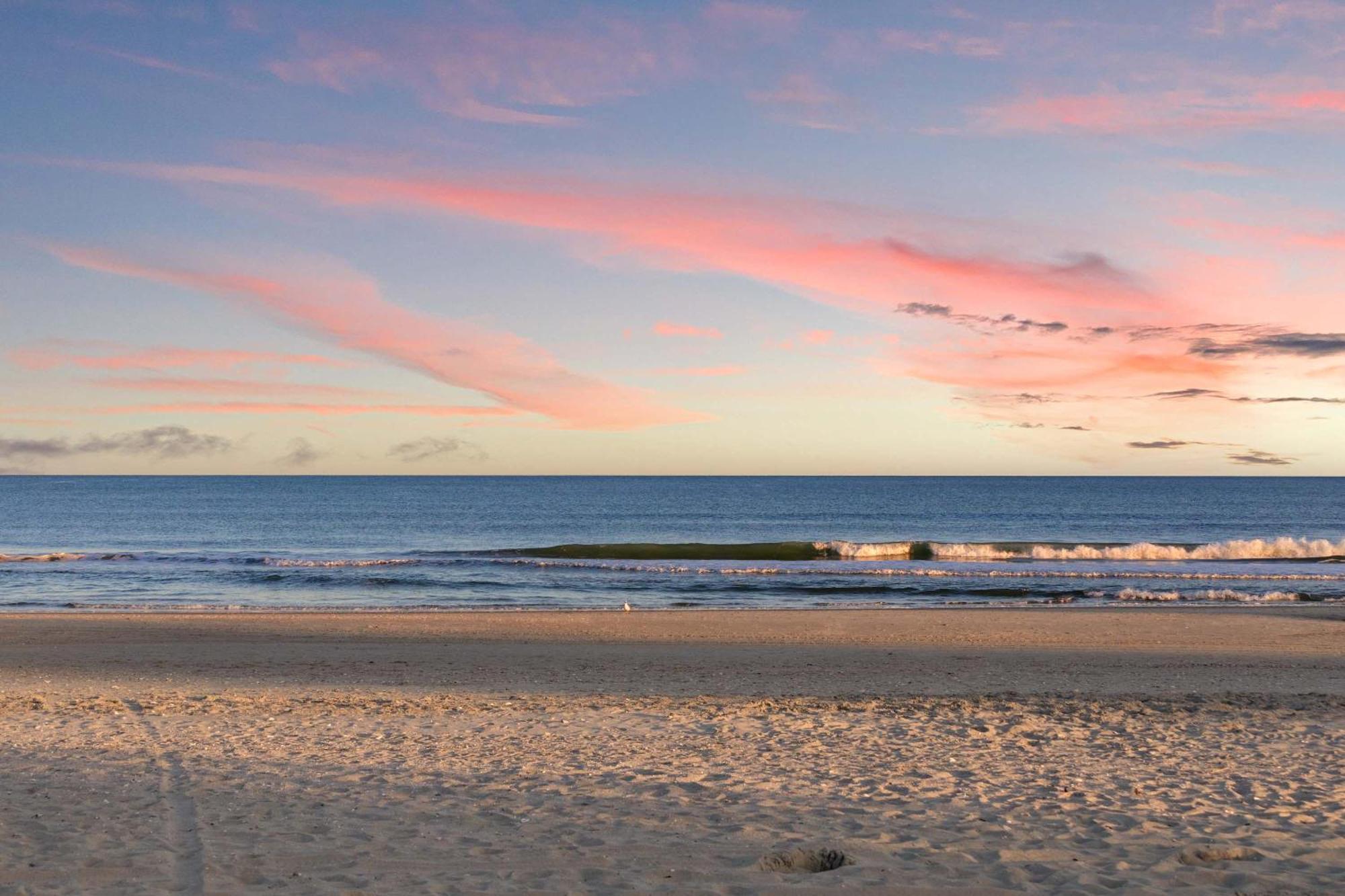 1 King Bed Sleeps 2 Pet-friendly Apartment Myrtle Beach