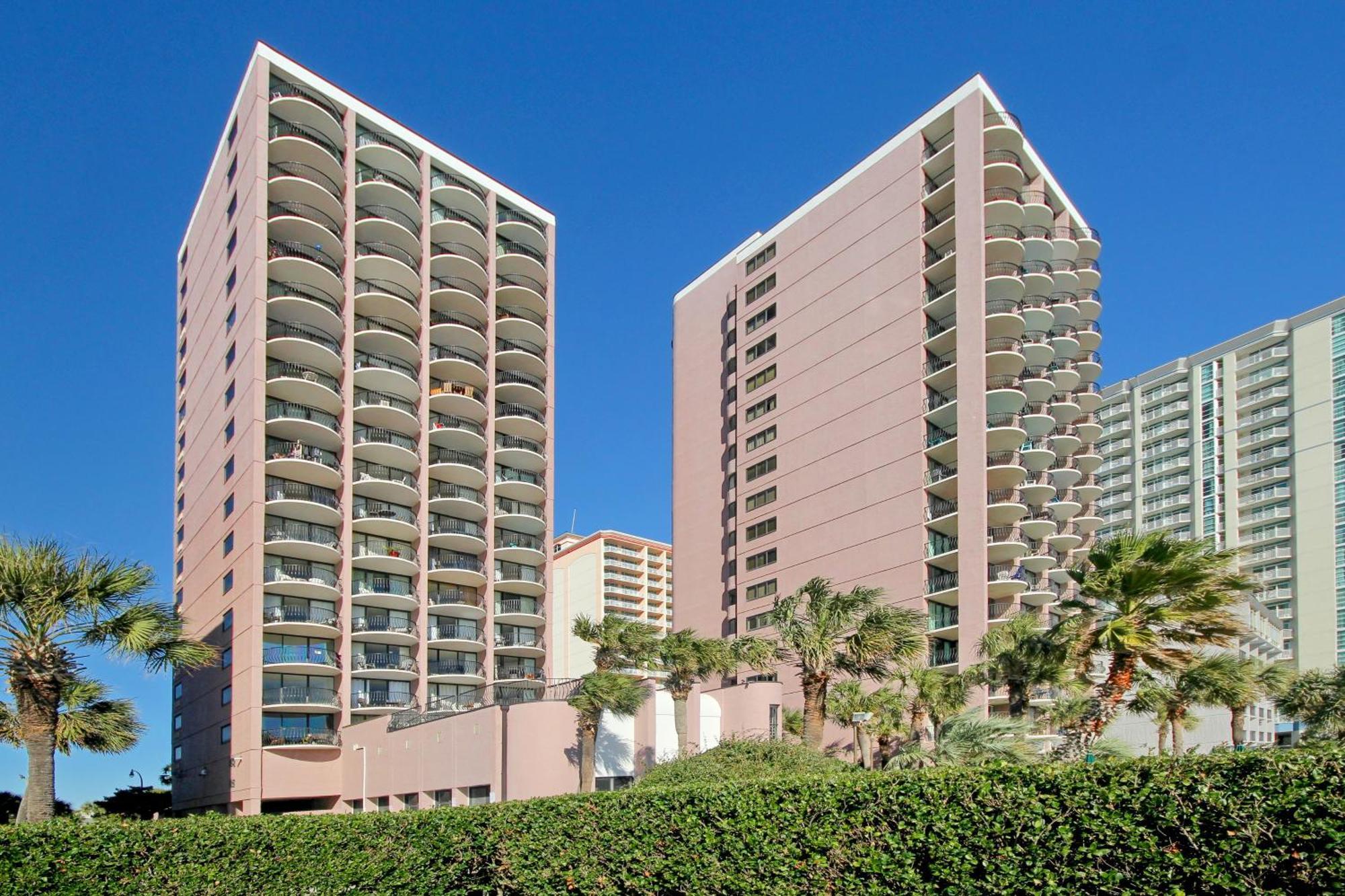 Palms 905