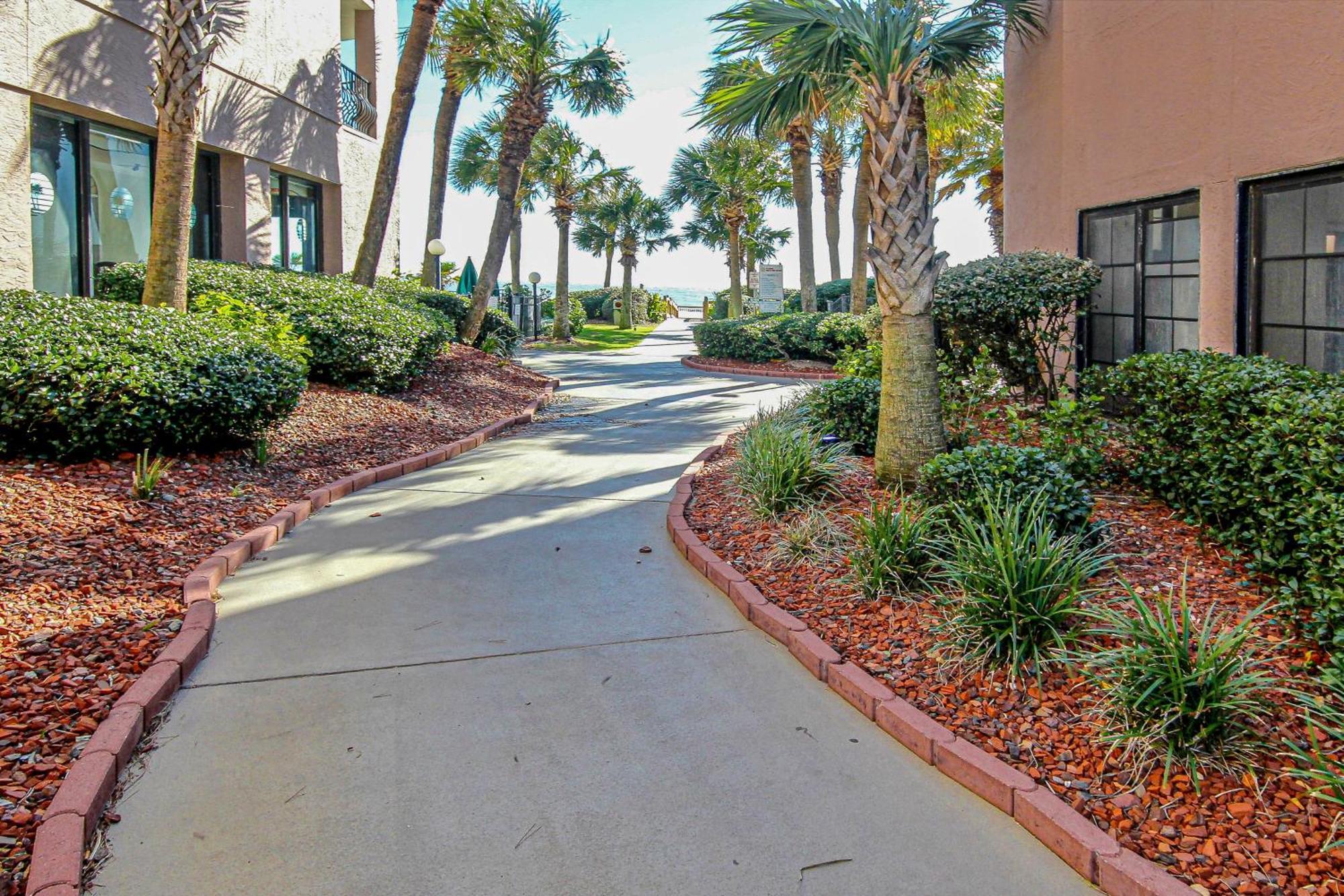 Apartment Palms 905 Myrtle Beach