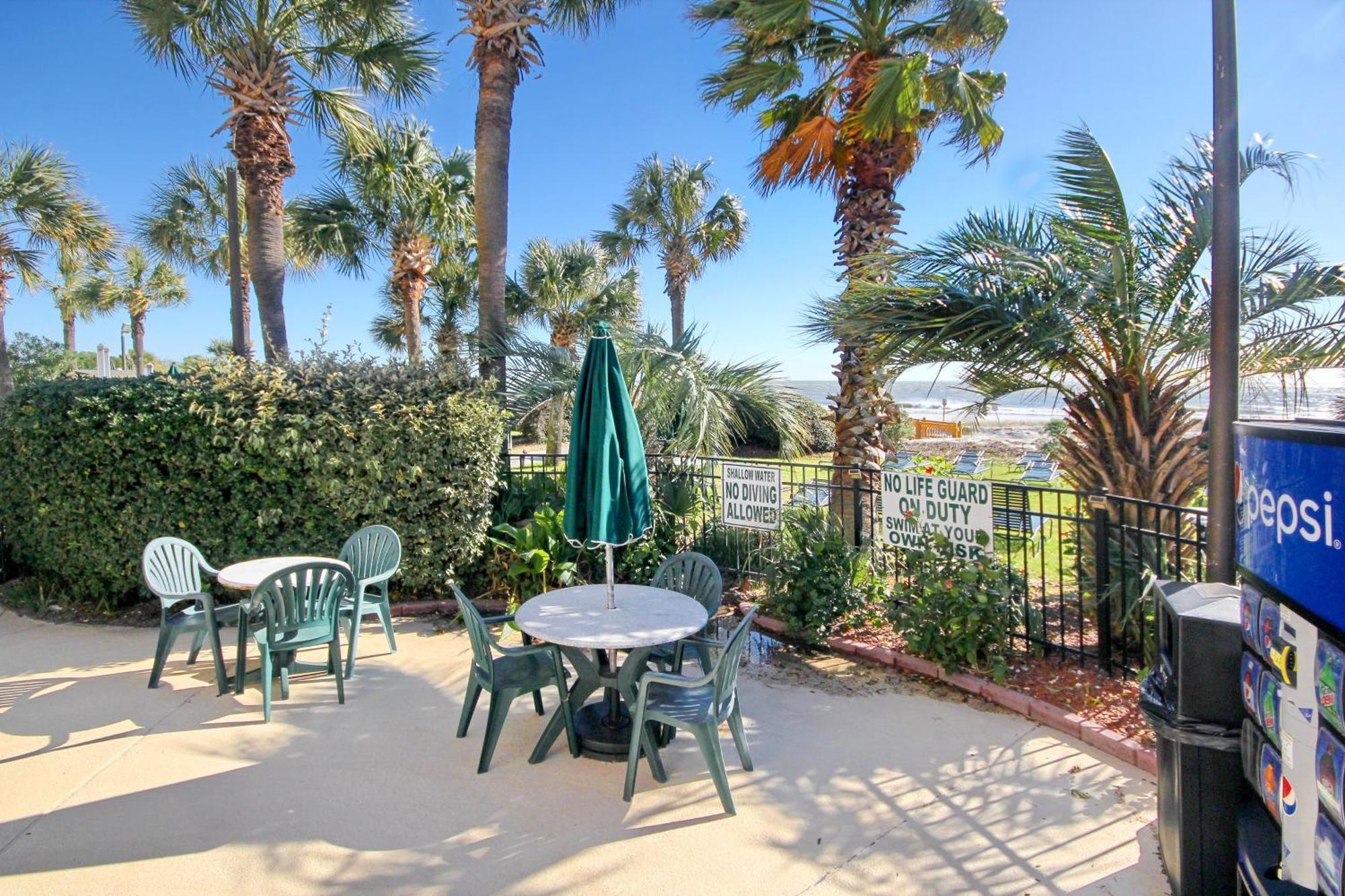 Palms 905