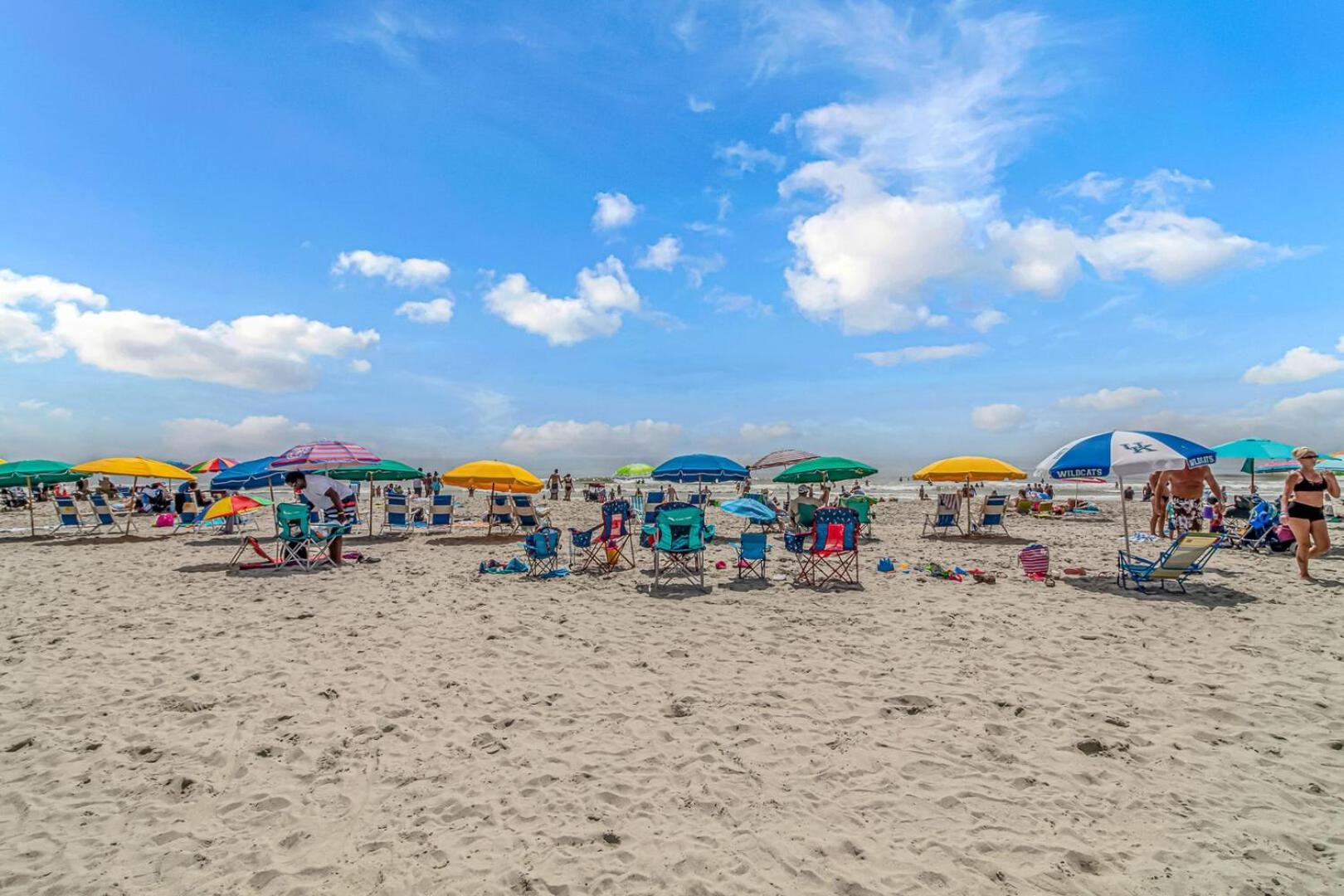 Resort Beautifully Updated 1br- Spectacular Oceanfront Views-the Savoy Unit 102 *