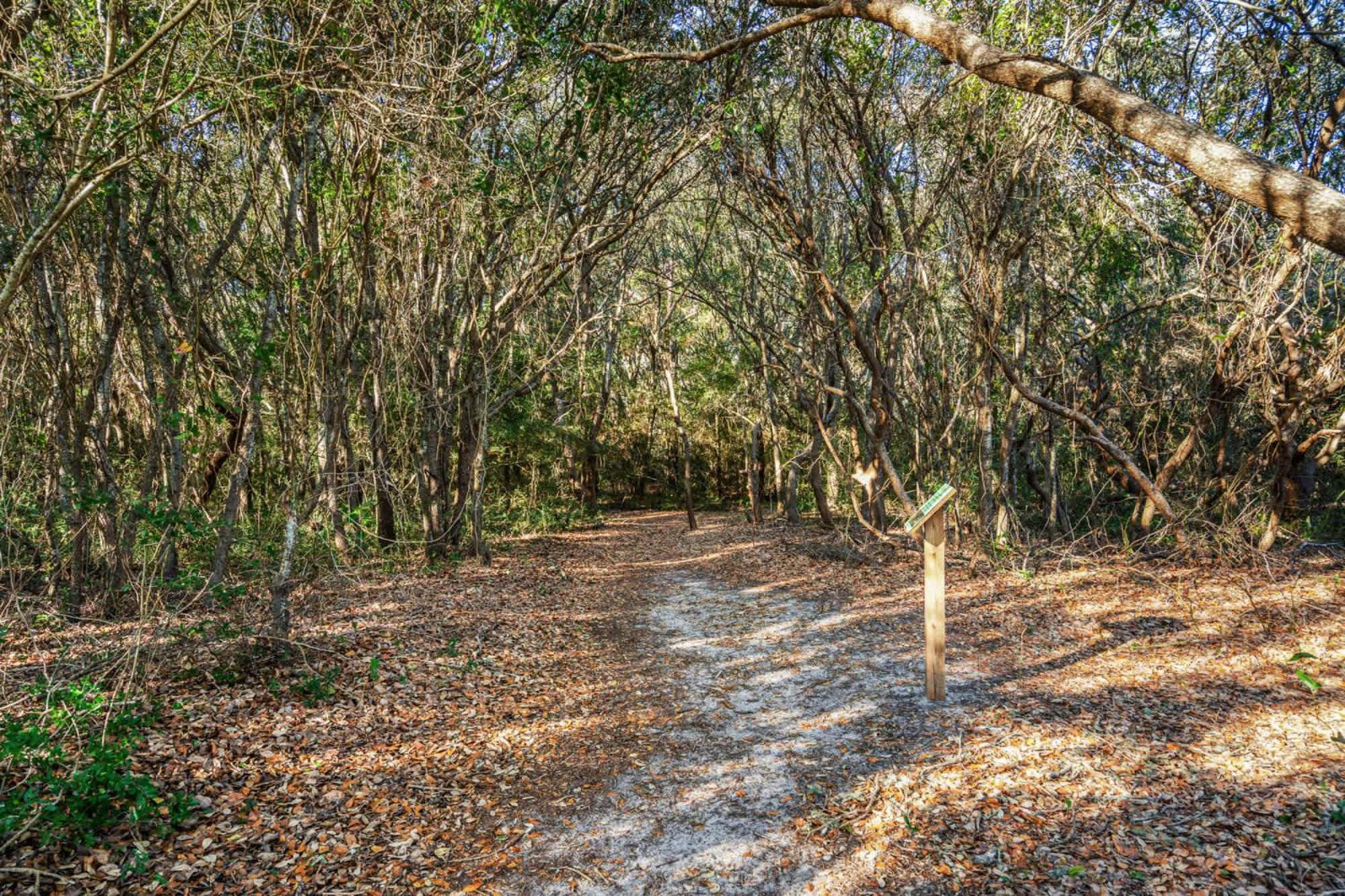 Free State Parks Pass-ground Floor-free Parking * Myrtle Beach