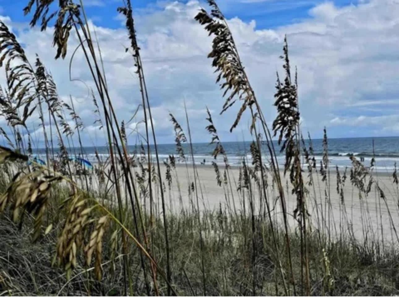 House Surfside - Private Pool Great Location Myrtle Beach