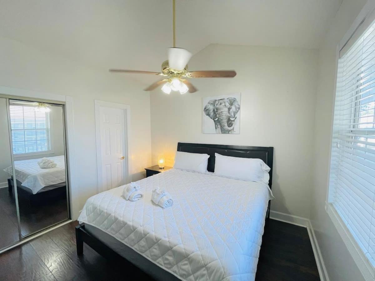 Beautiful Spacious In The Center Of Mb