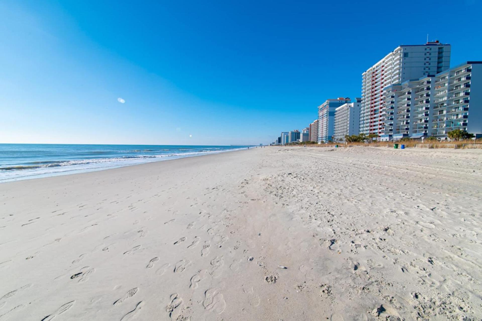 Pet Friendly Modern Oceanfront Holiday home *