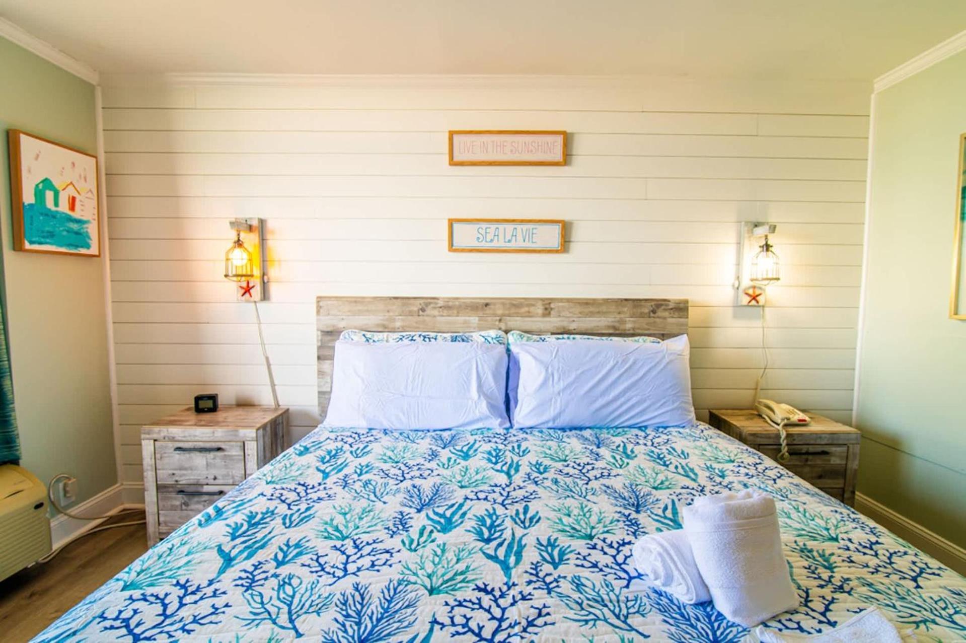 Modern Pet Friendly Oceanfront *