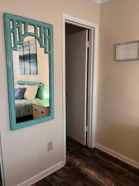 Beautiful 3 Bedroom Steps From & Main St Apartment Myrtle Beach
