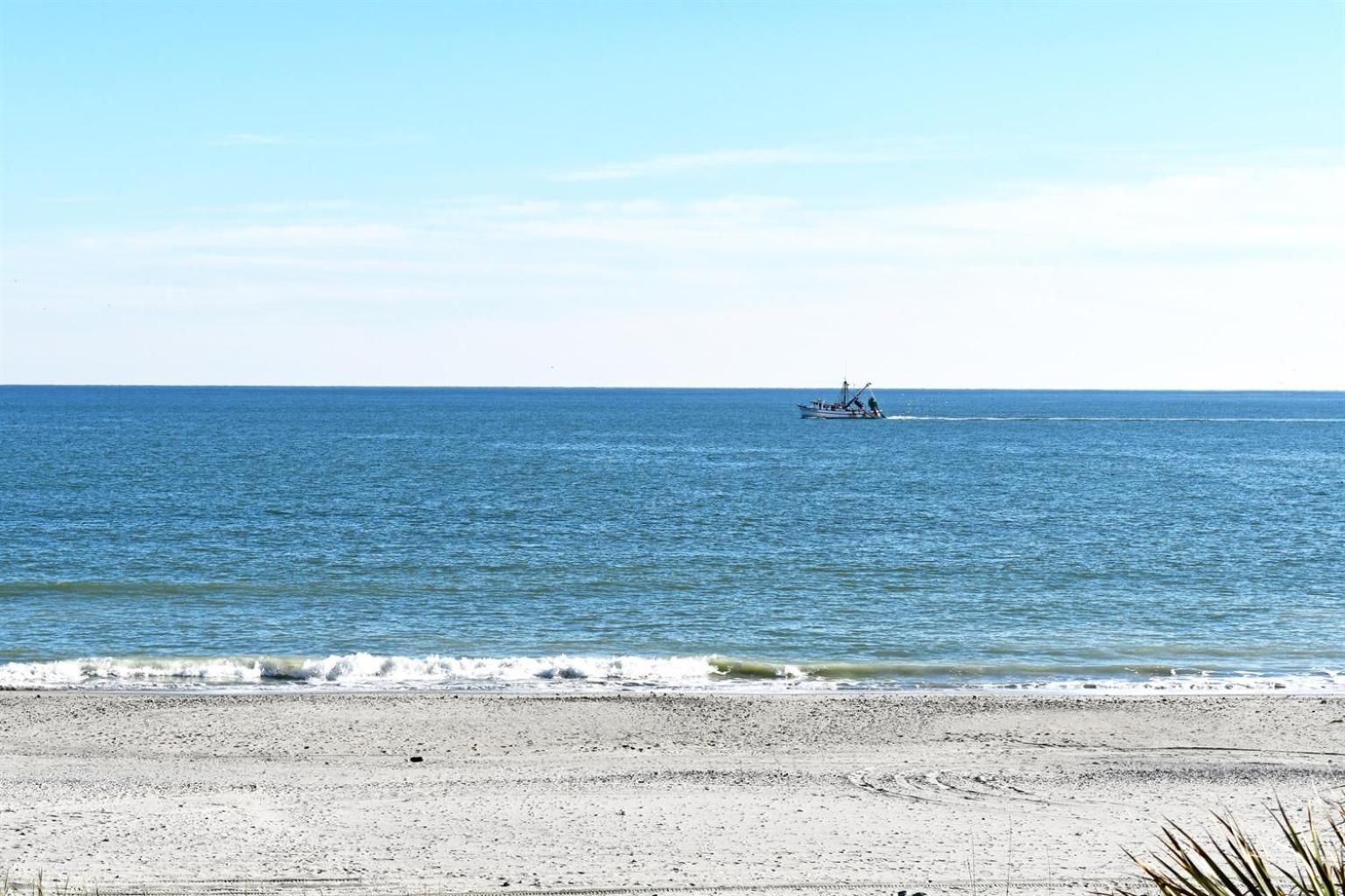Floor,direct Oceanfront,heated Pool,boardwalk! Apartment