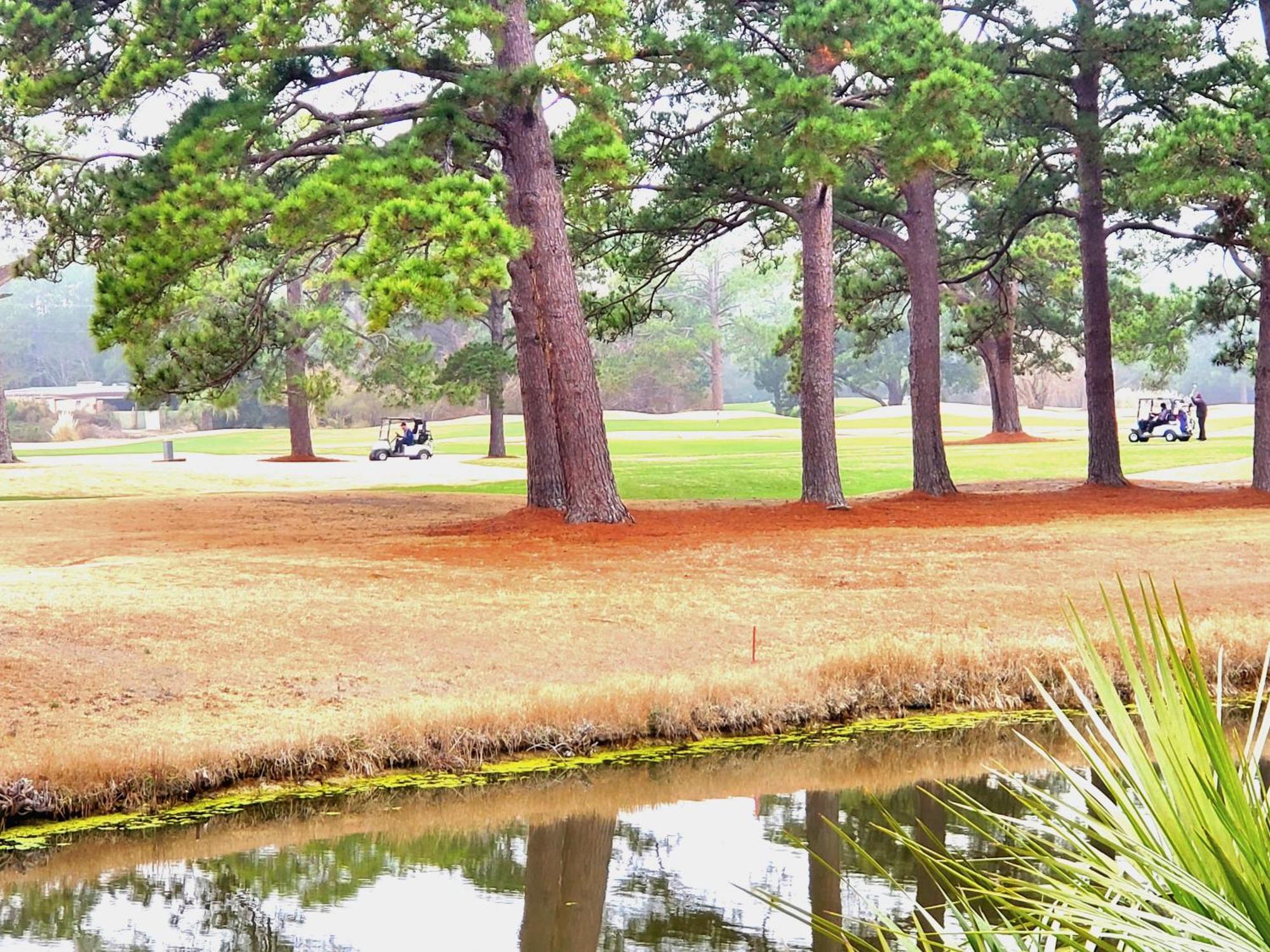 Tee Time-free Tickets Holiday home *