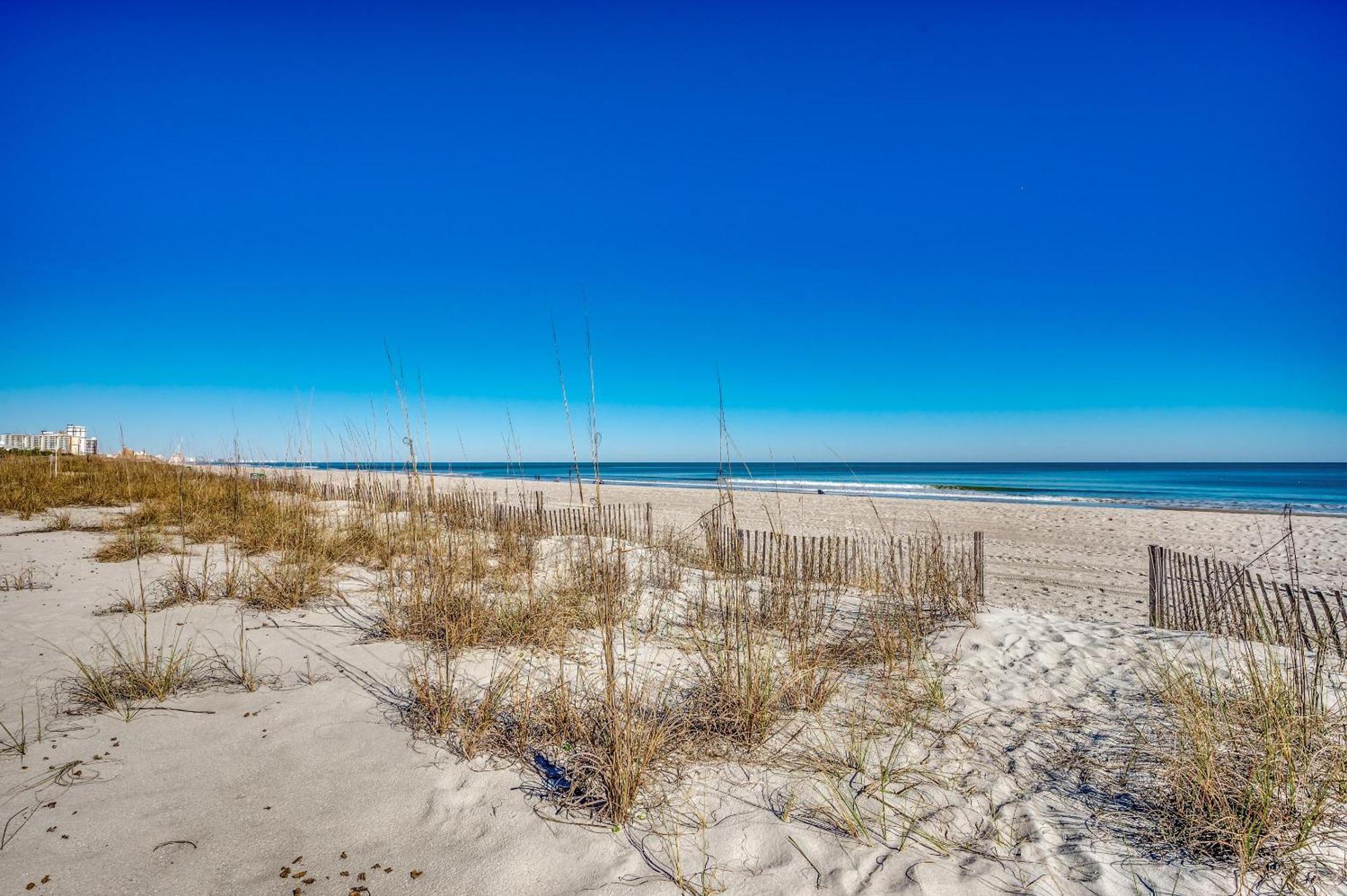_osprey Nest Myrtle Beach