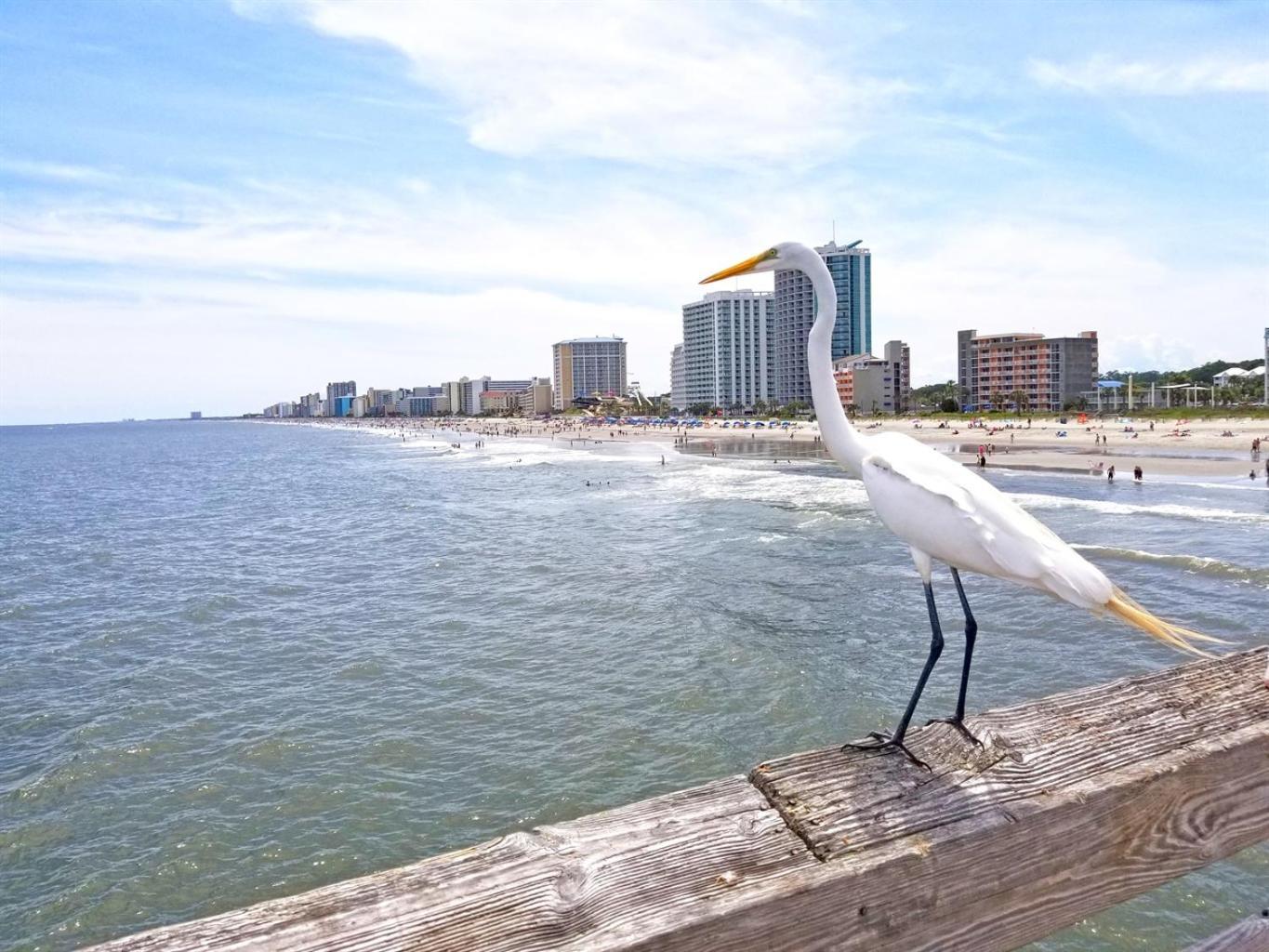 New Modern, Direct Oceanfront, Boardwalk, Views!