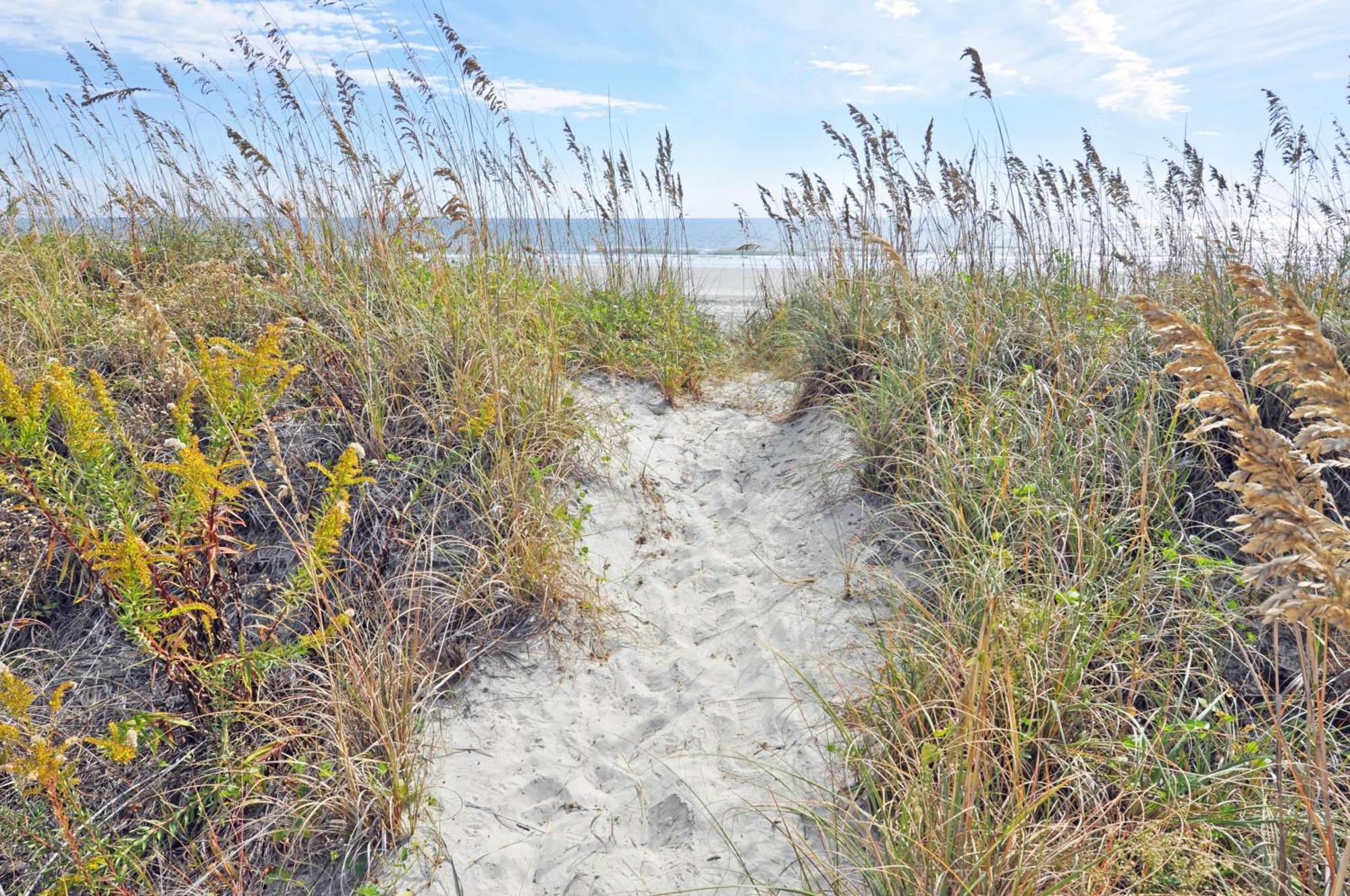 Ocsh105 Ocean Shores Oceanfront 3br/2b Condo, Private Balcony