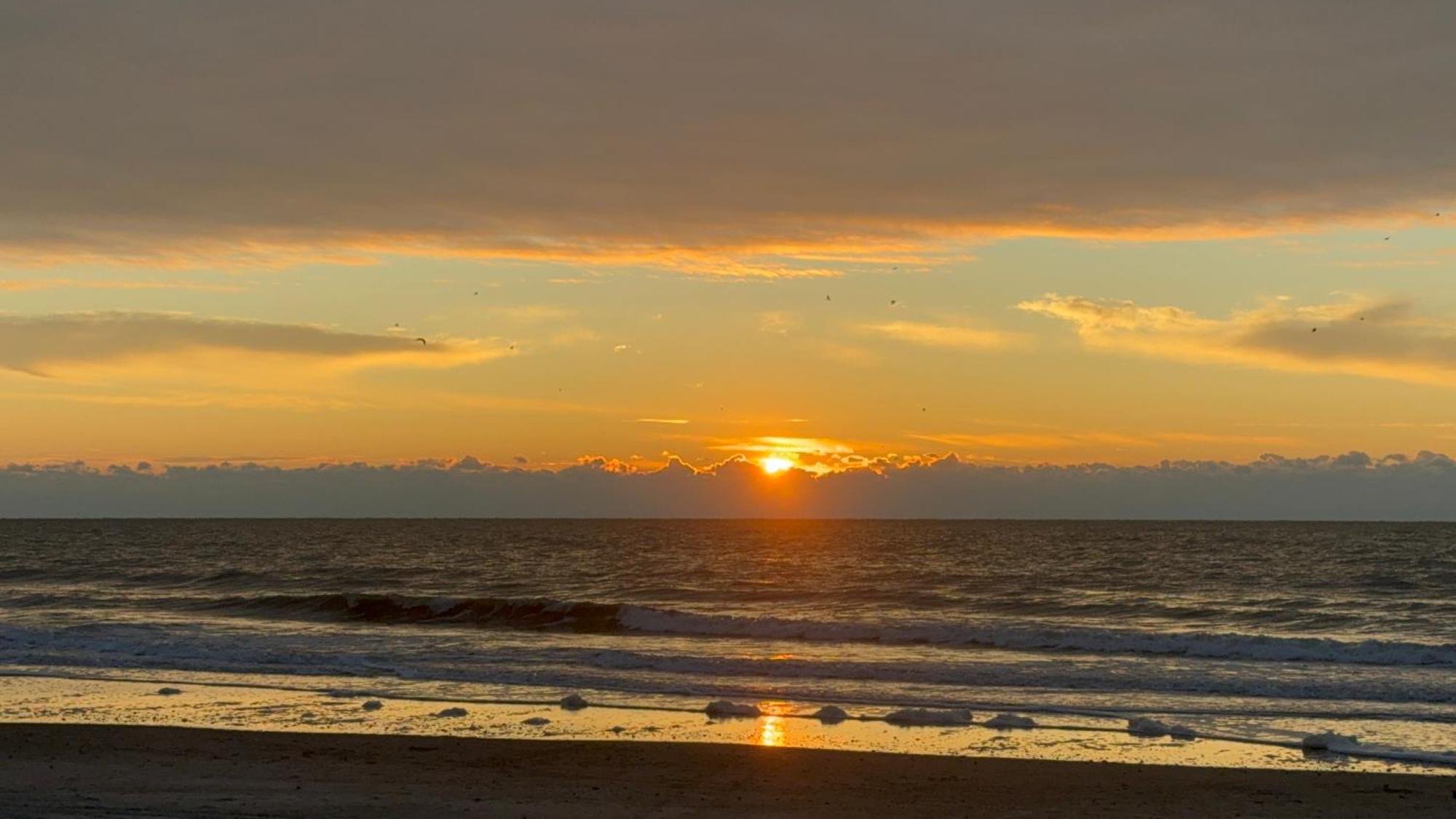 Modern Escape - Luxury Oceanfront With Pool - Guest Concierge And Amenities Apartment Myrtle Beach