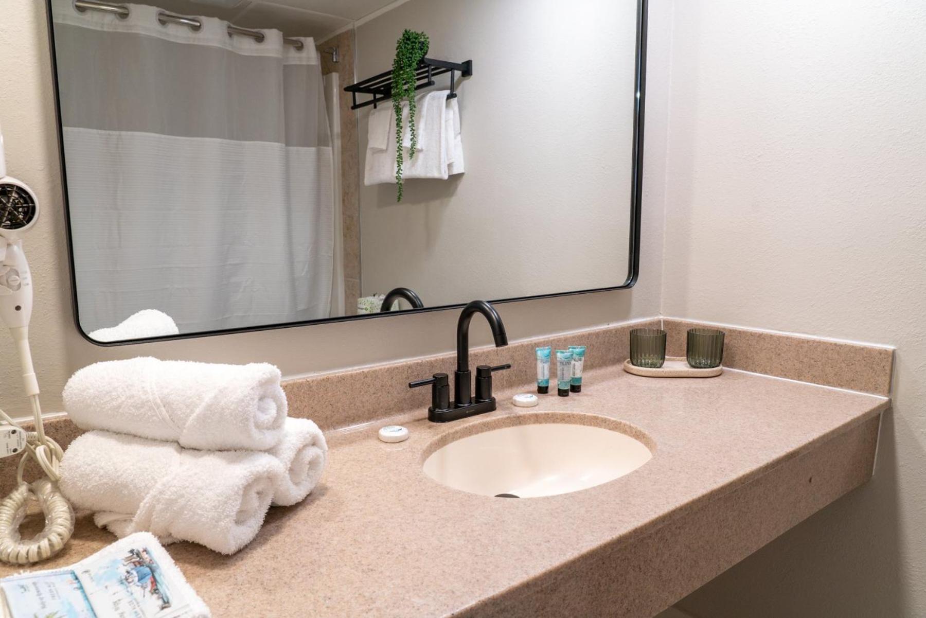 2 Bedroom Oceanfront With Separate Entrances! Ocean Reef 50&509 Myrtle Beach