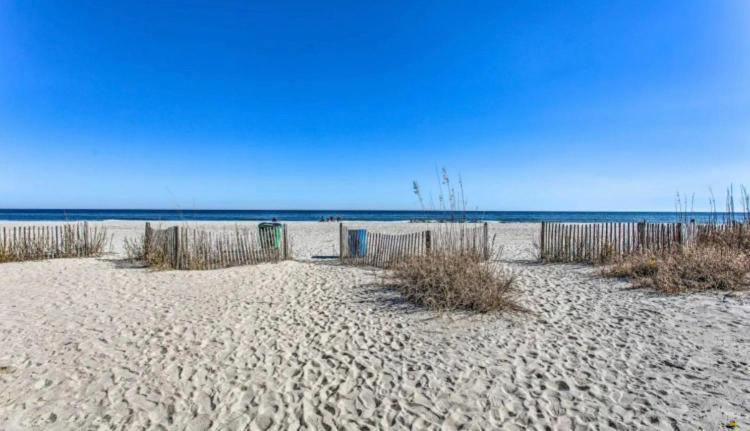 Romantic, Oceanfront Condo, Stunning Views! Apartment *