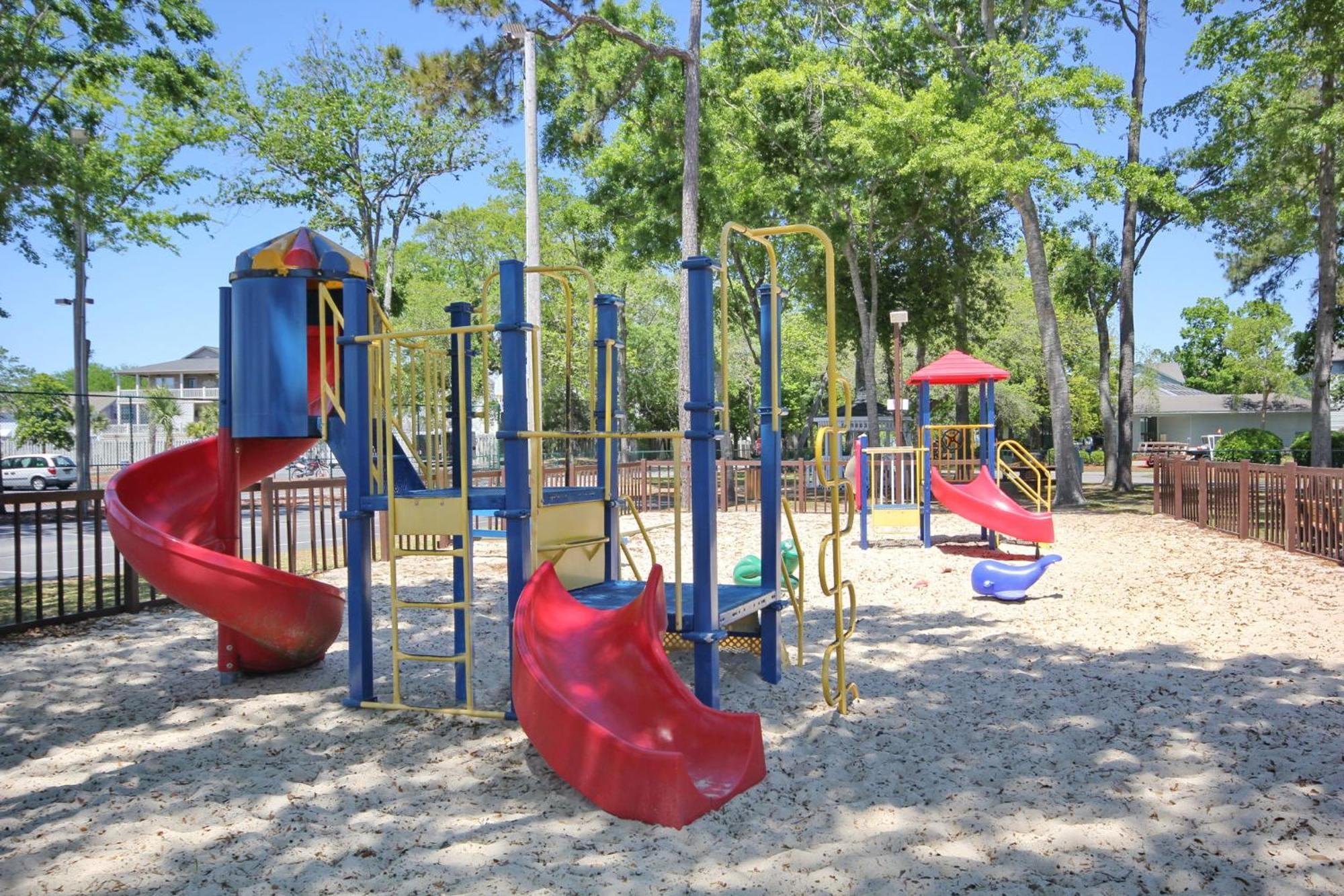Myrtle T703 Front Oasis *