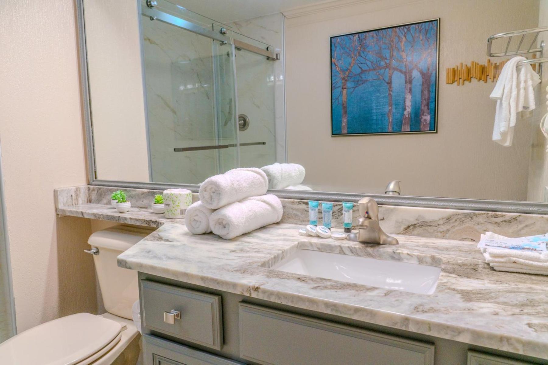 Oceanfront 2 Bedroom Penthouse! Dunes 1232