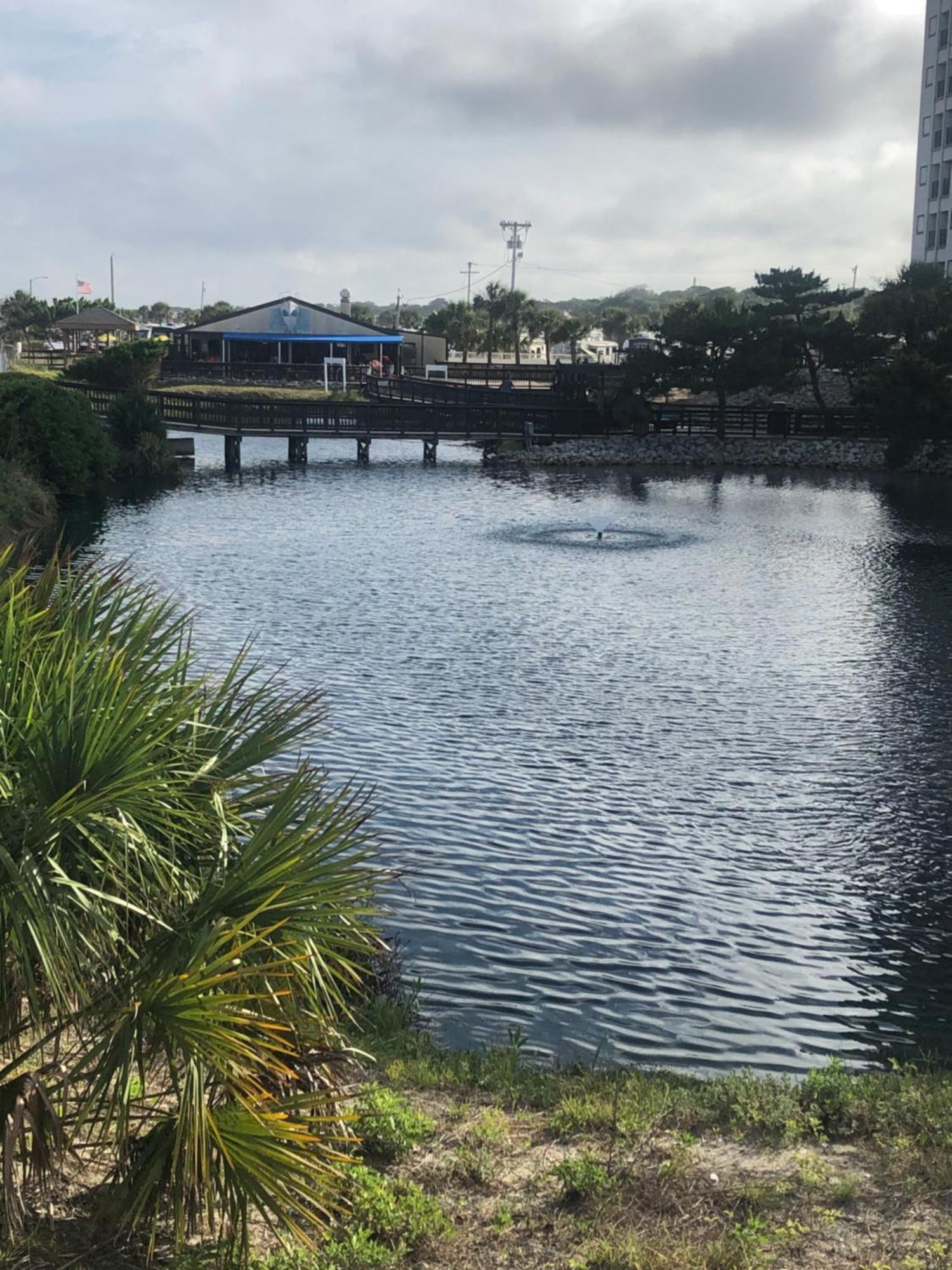 Apartment Oceanfront Myrtle Efficiency *