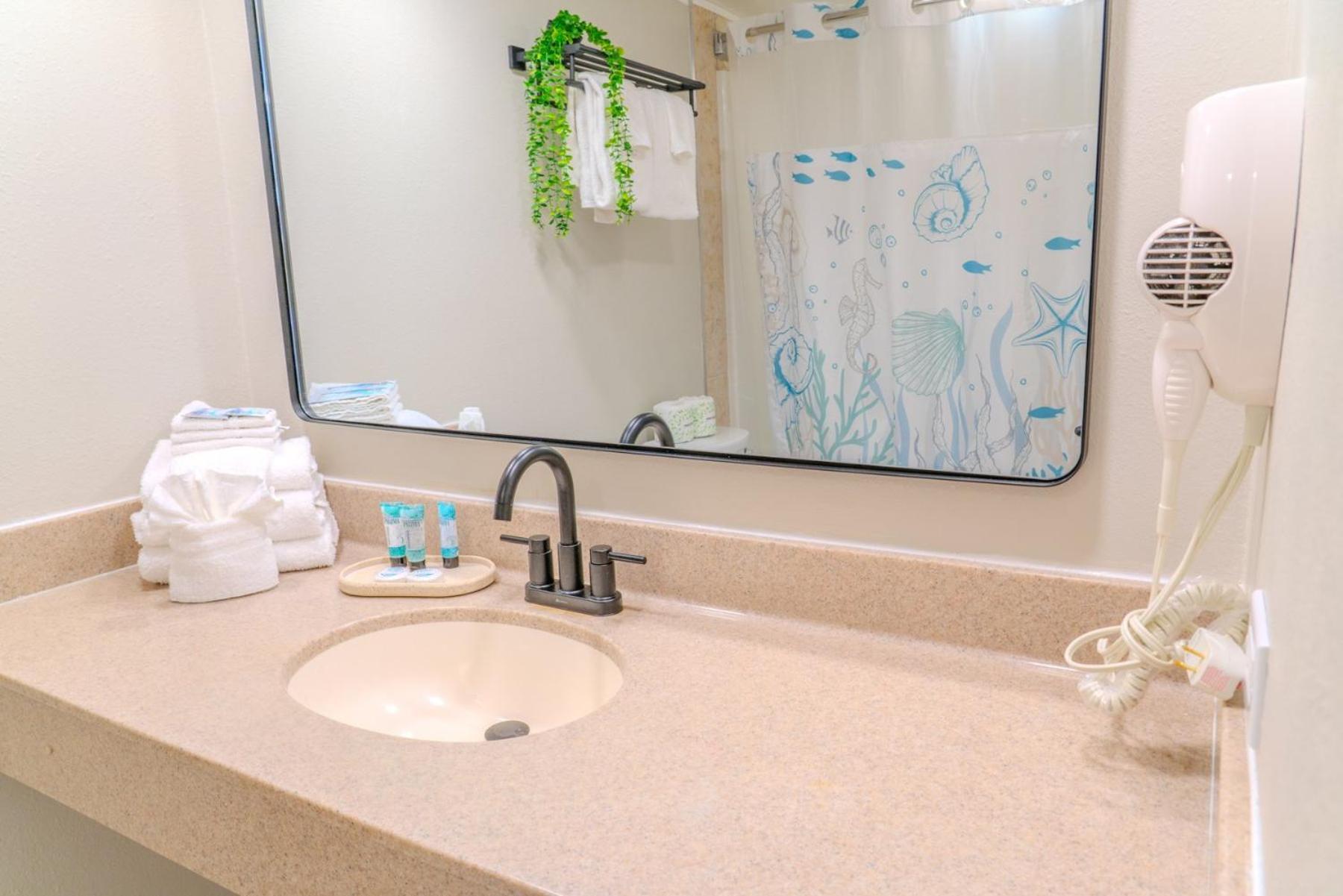 Oceanfront Double Queen At Ocean Reef Resort! Unit 508 *