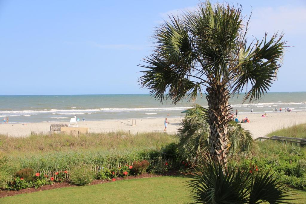Jade Tree Cove Hotel 3*