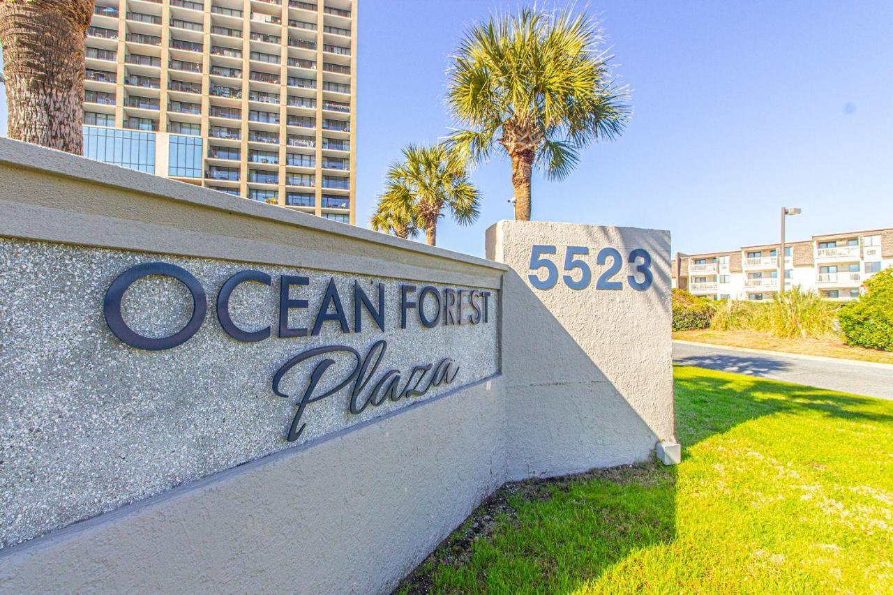 Holiday home Incredible Views! 20th Floor 1-bedroom - Ocean Forest Plaza 2004 *