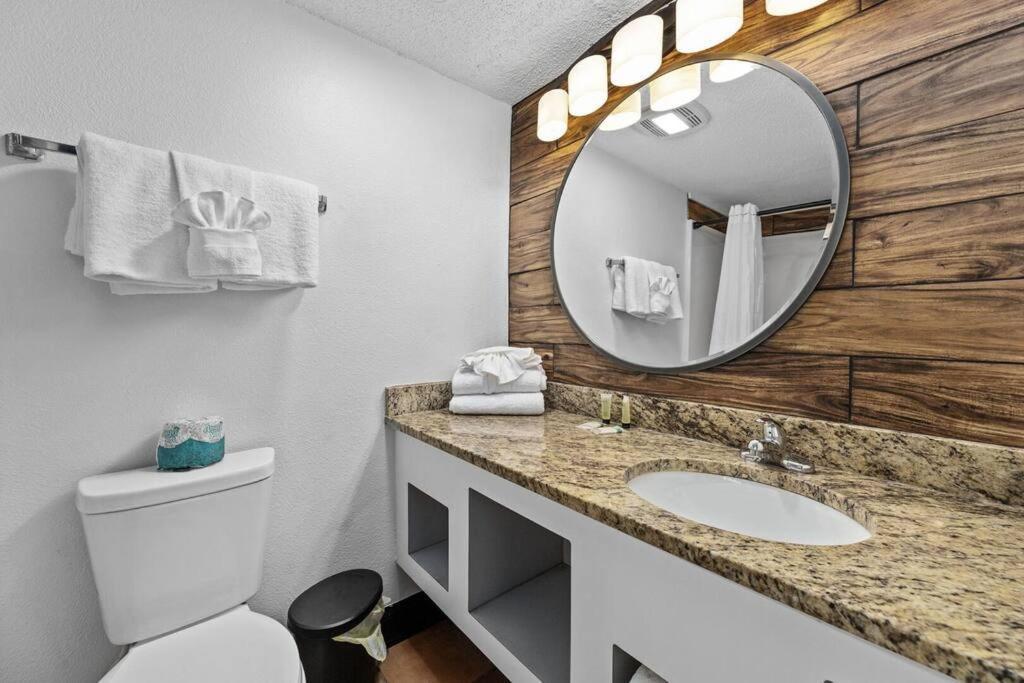 Direct Ocean Front Queen Suite! Sea Mist 21006 - Perfect For 2 Guests! * Myrtle Beach