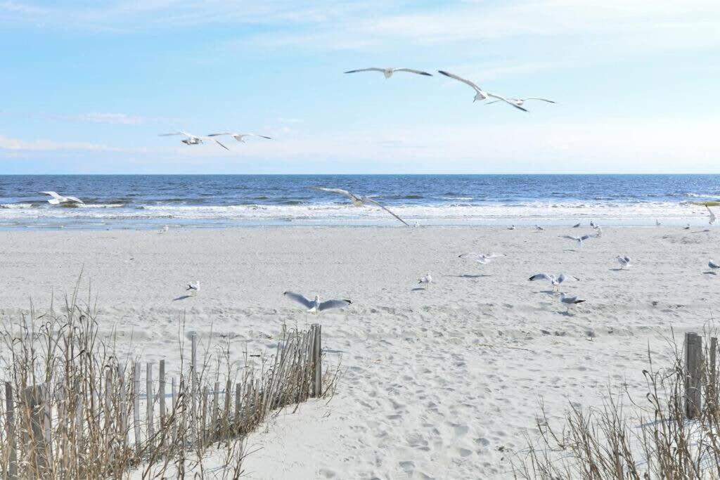 Across Street From Beach With Pool Top Location Myrtle Beach