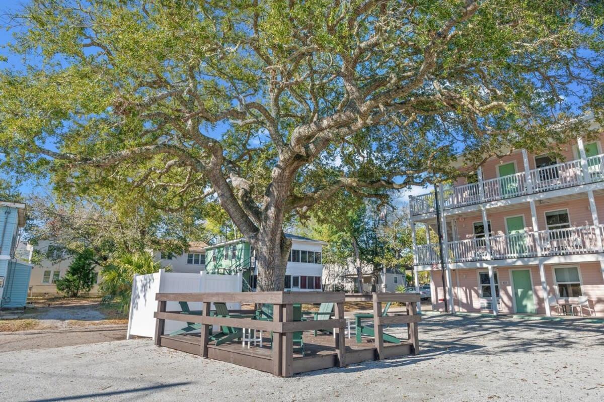 Apartment Treehouse Walk To Pet-friendly 303 *