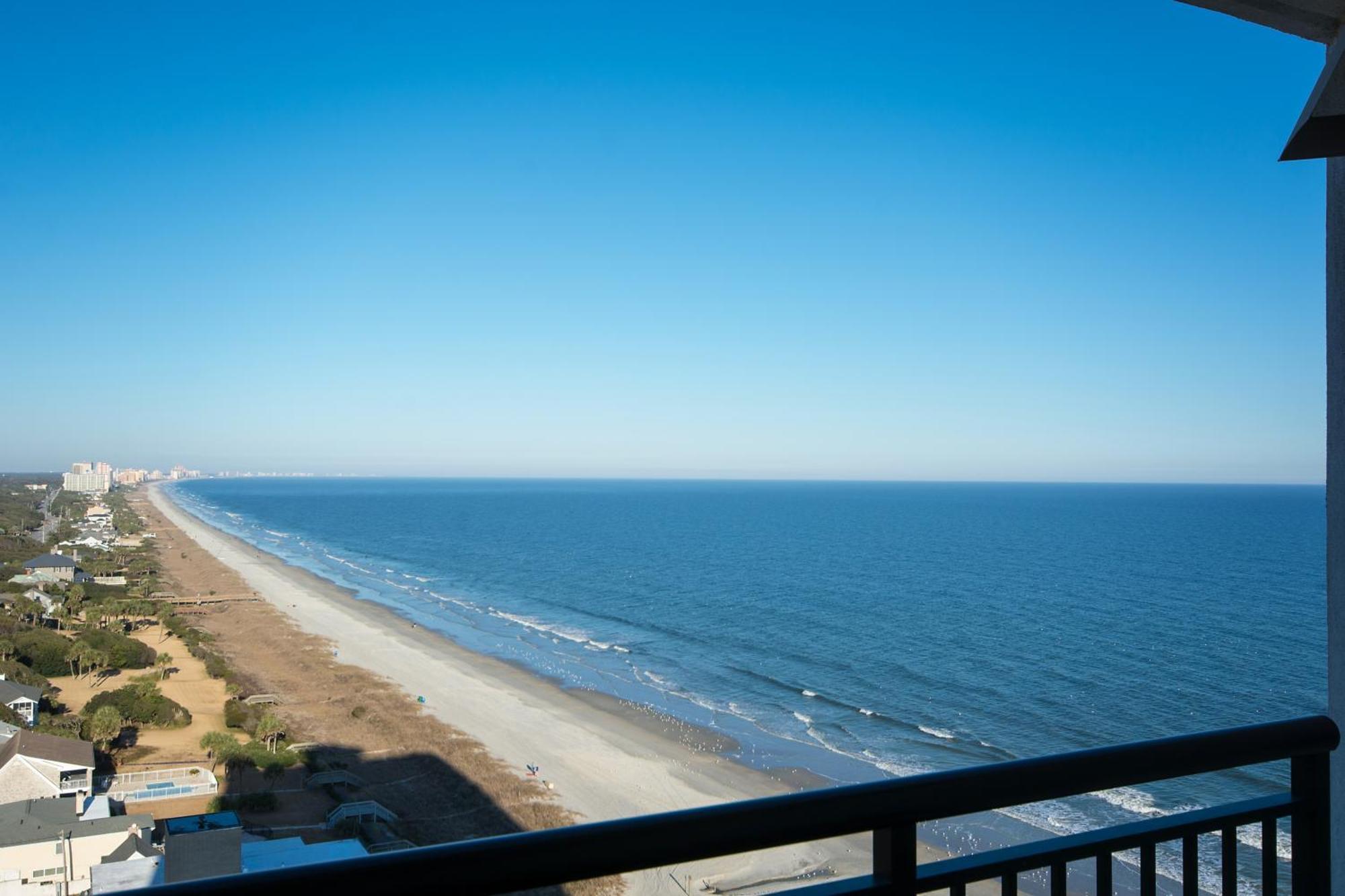 Caribbean Myrtle Myrtle Beach