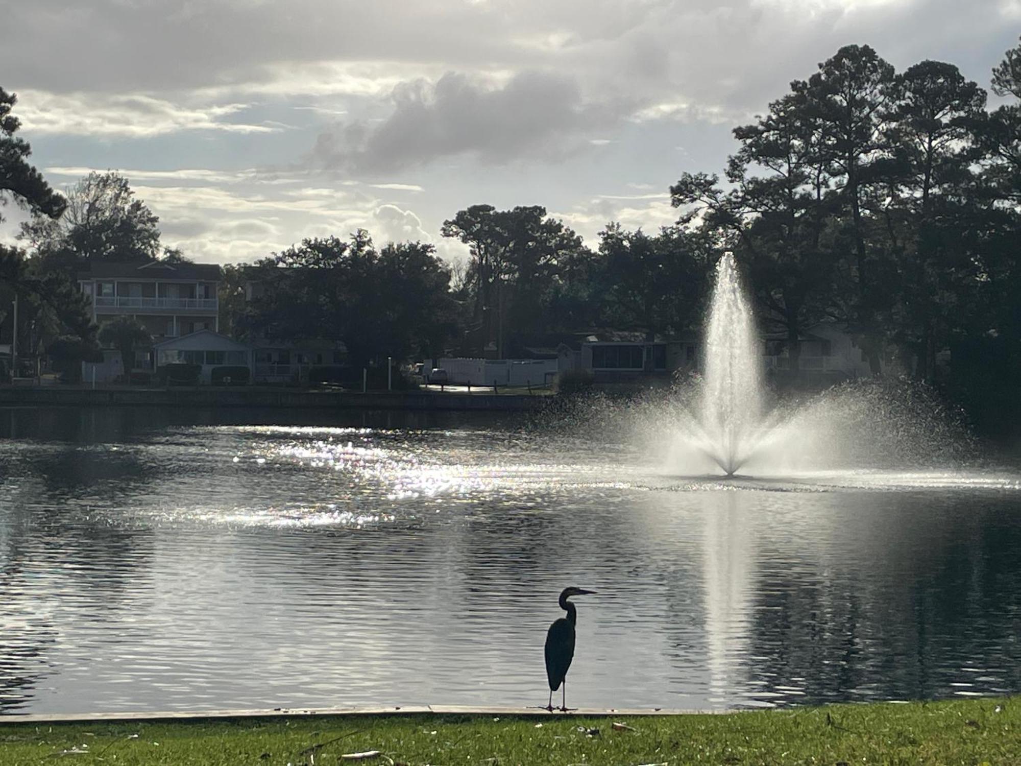 Seaside Therapy Holiday home Myrtle Beach