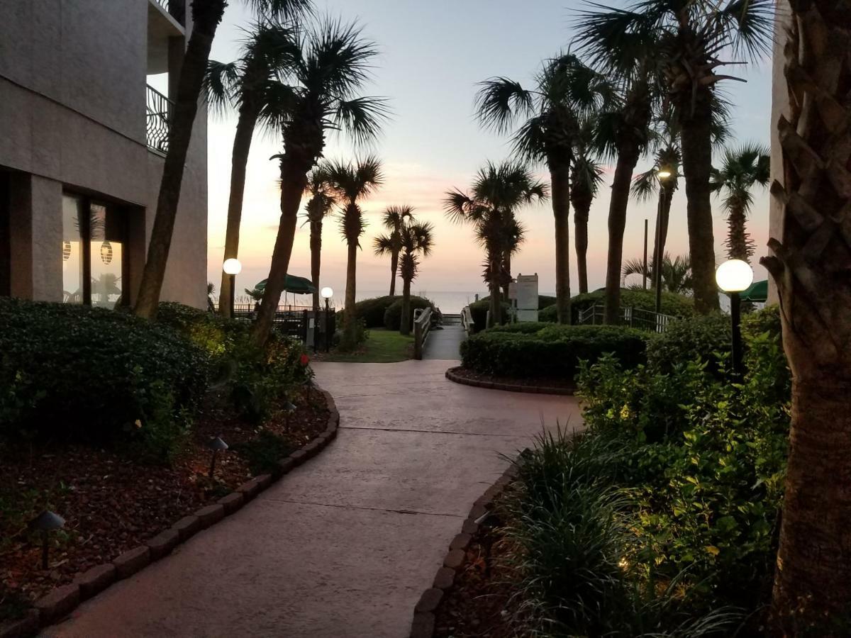 Apartment The Palms Resort-oceanfront