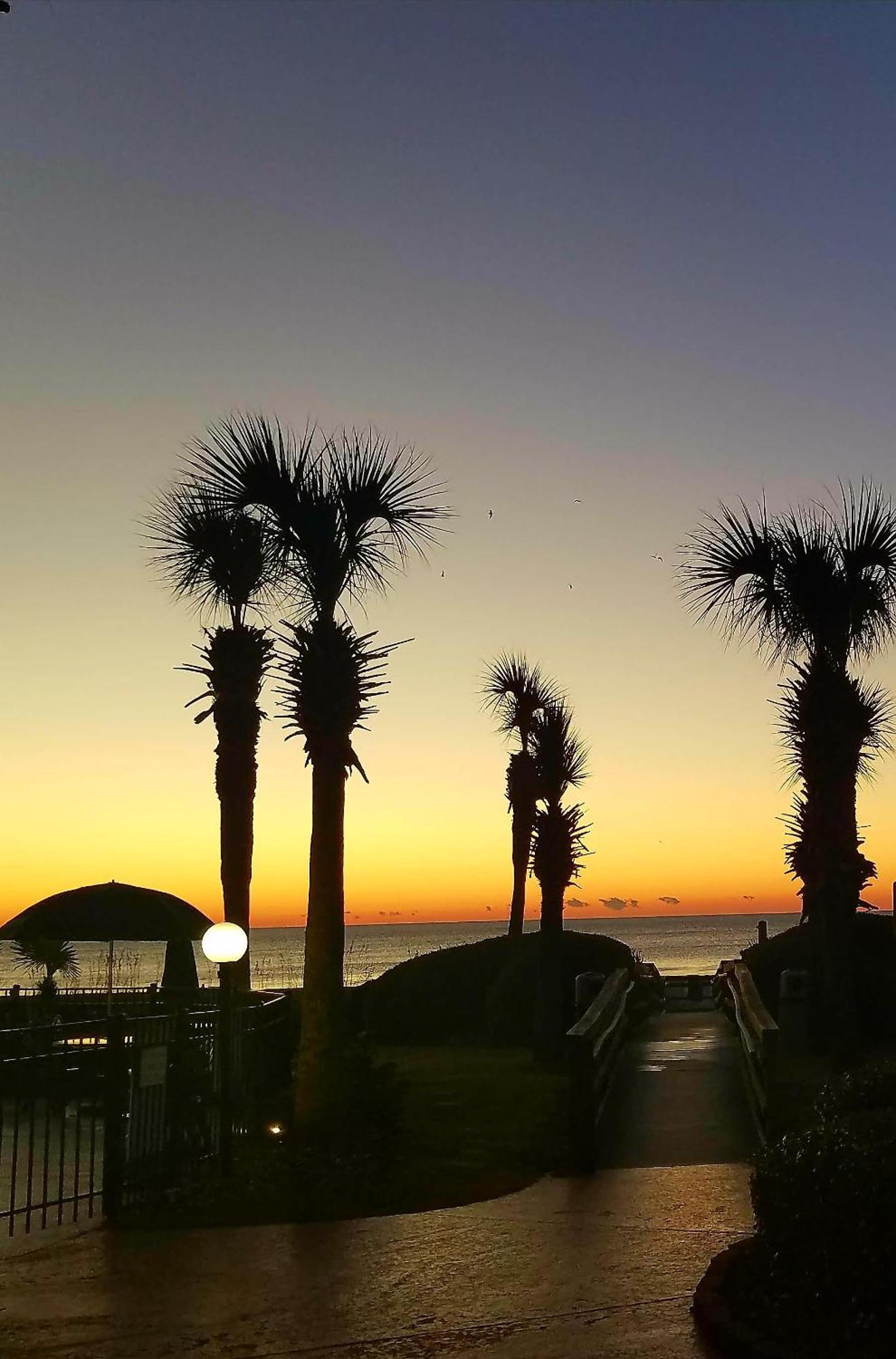 The Palms Resort-oceanfront Apartment Myrtle Beach